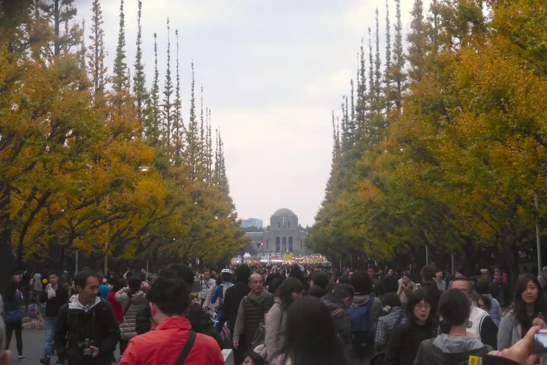 【Shinjuku】Early-Morning 5km Run & Breakfast Included|Run with International Travelers from Shinjuku Gyoen to Jingu Gaien